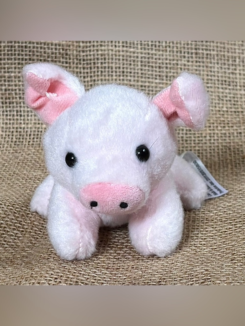 PMT Holdings Miniature Pink Plush Pig Stuffed Animal Firm Stuffing Cute Twee